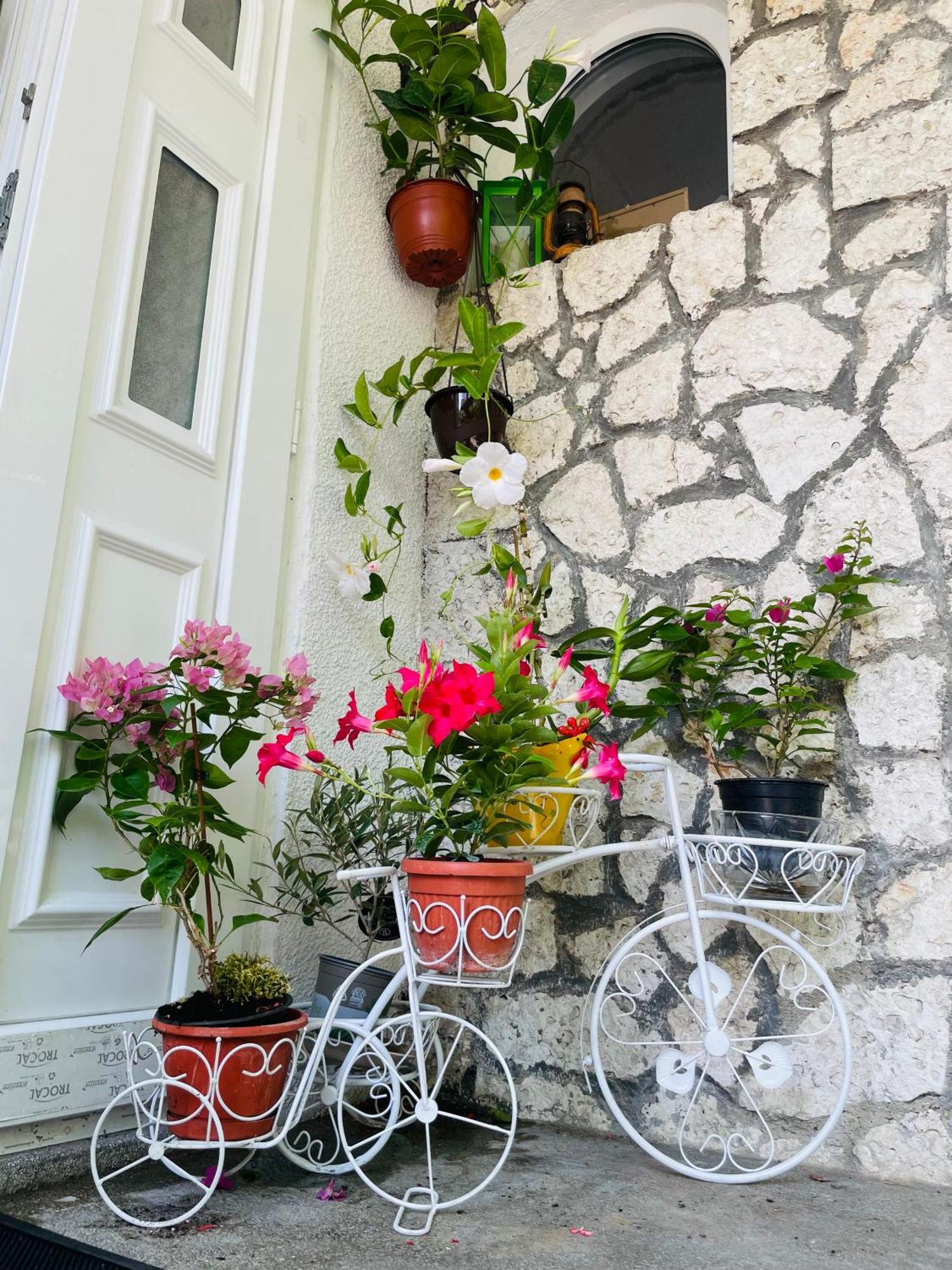 Guest House Blago فارنا المظهر الخارجي الصورة